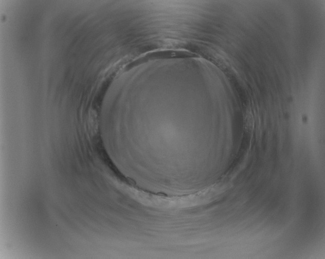 X0000075860043200610061948