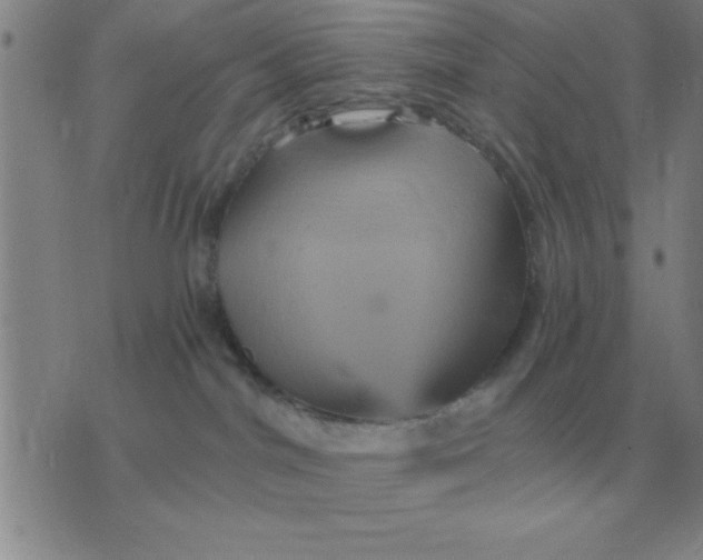 X0000075860044200610061948