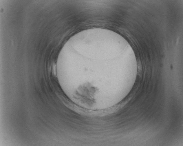 X0000075860046200610061948