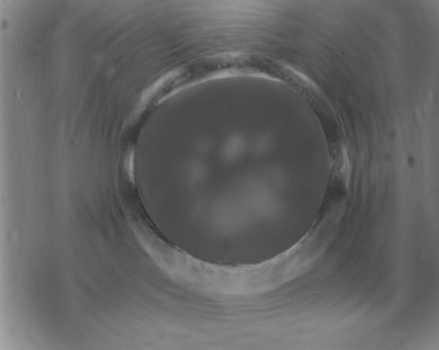 X0000075860047200610061948