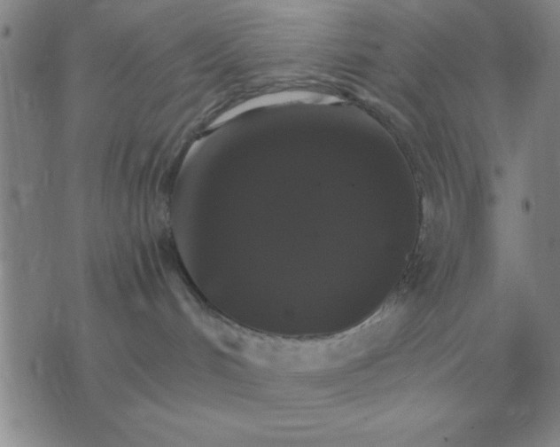 X0000075860048200610061948