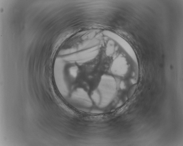 X0000075860049200610061947