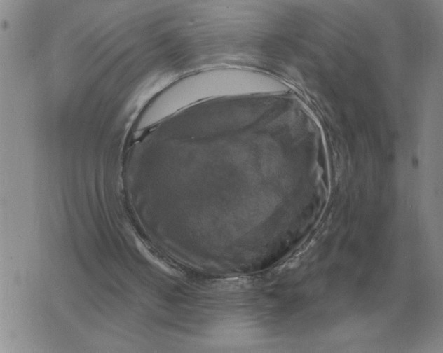 X0000075860050200610061947