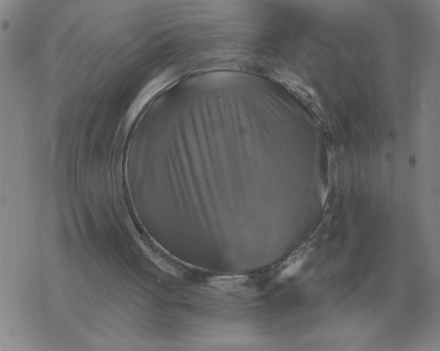 X0000075860051200610061947