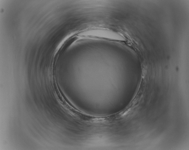 X0000075860052200610061947