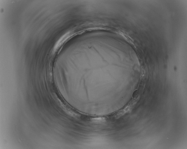 X0000075860053200610061947