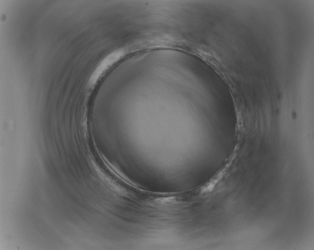 X0000075860054200610061947