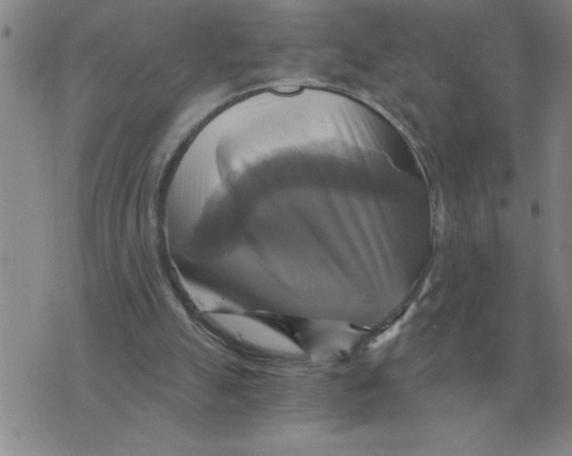 X0000075860055200610061947