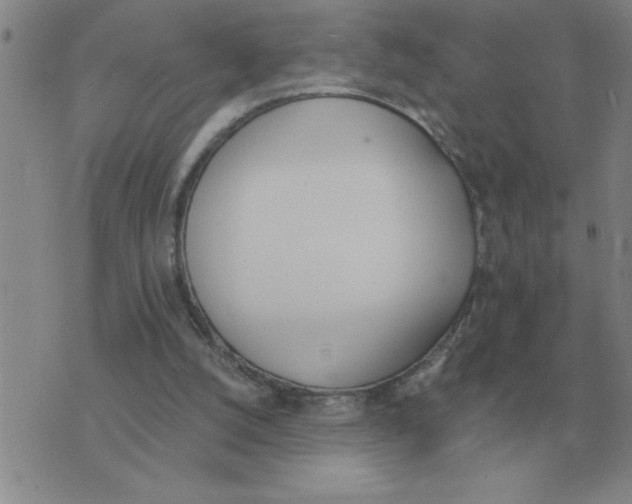 X0000075860056200610061947