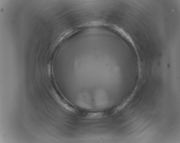 X0000075860057200610061947