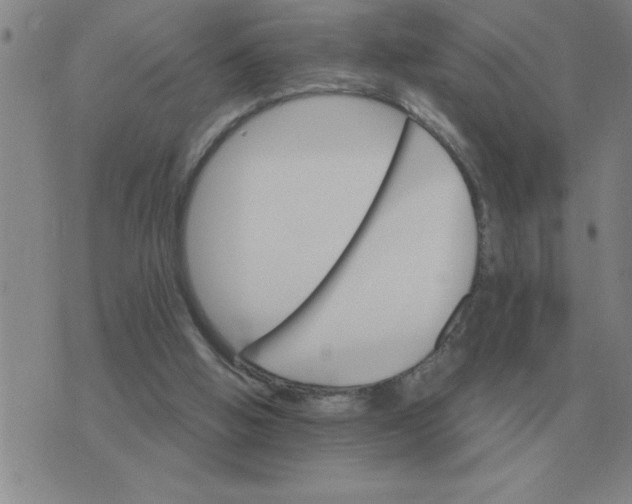 X0000075860058200610061947