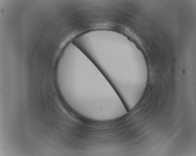 X0000075860059200610061947