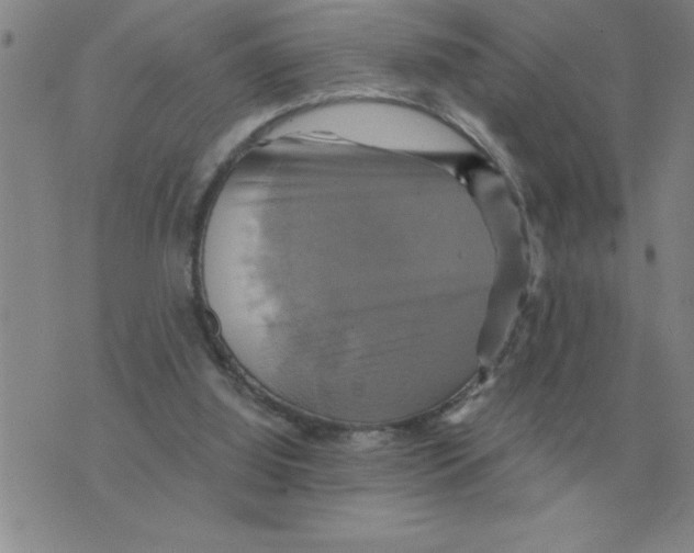 X0000075860060200610061947