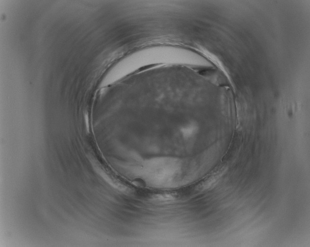 X0000075860061200610061947