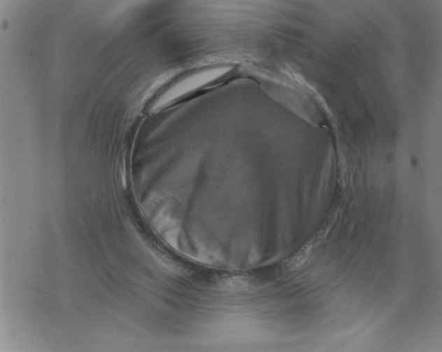 X0000075860062200610061947