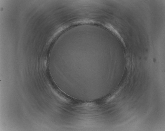 X0000075860063200610061947