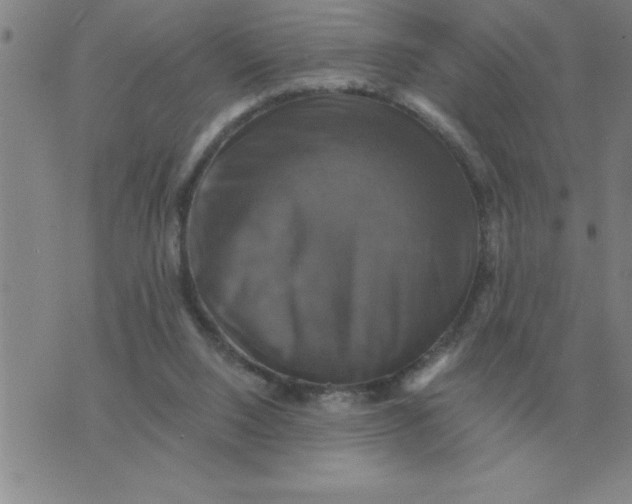 X0000075860064200610061947