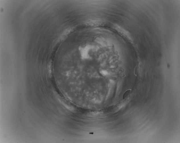 X0000075860065200610061947