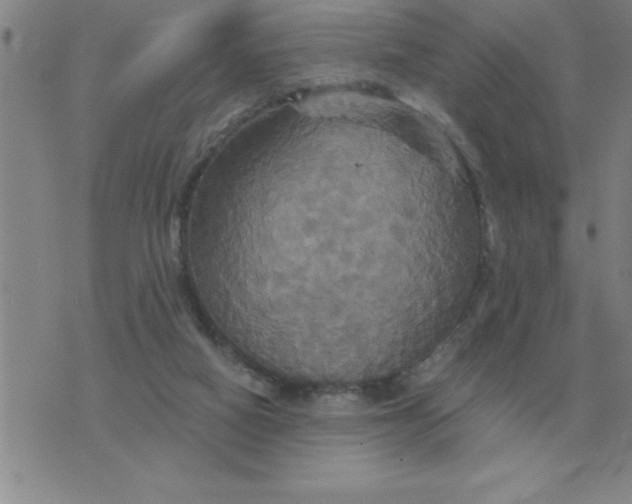 X0000075860066200610061947