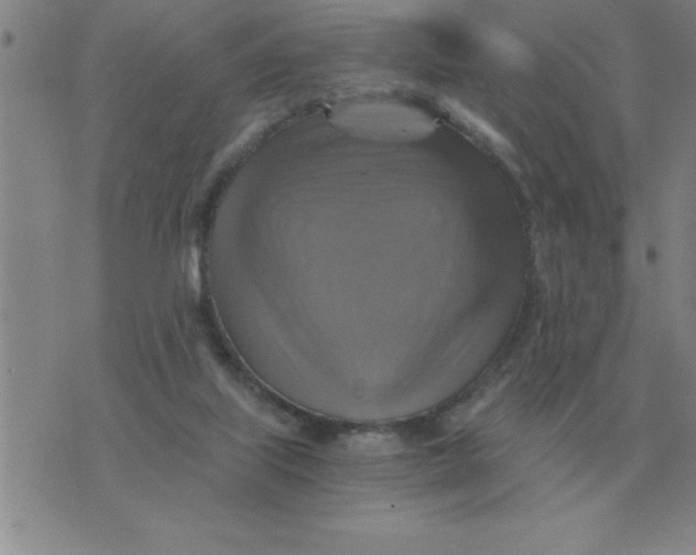 X0000075860067200610061947