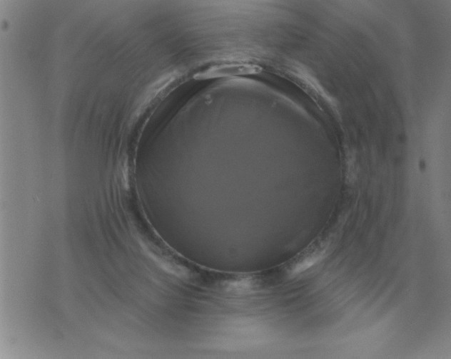 X0000075860068200610061947