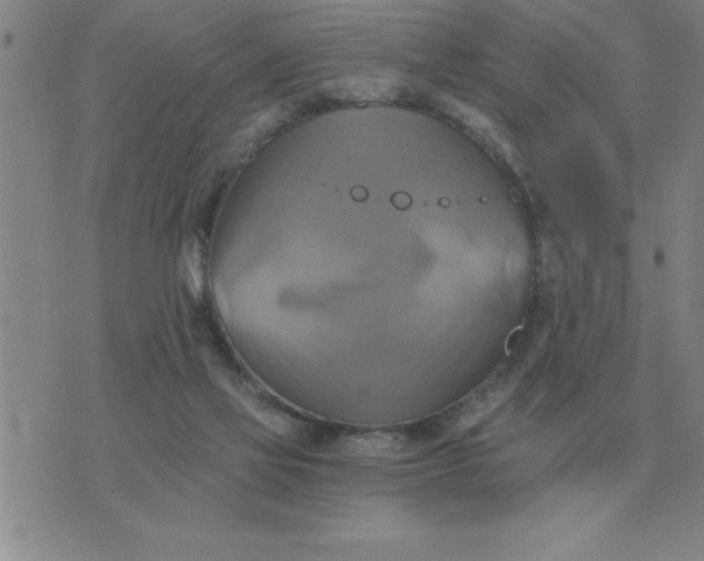 X0000075860069200610061947