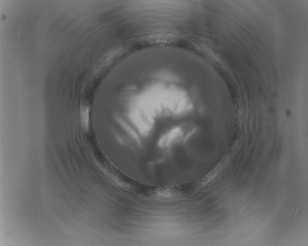 X0000075860070200610061947