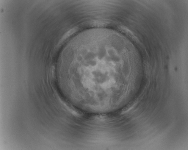 X0000075860071200610061947