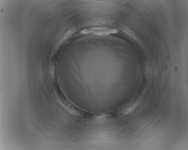 X0000075860072200610061947