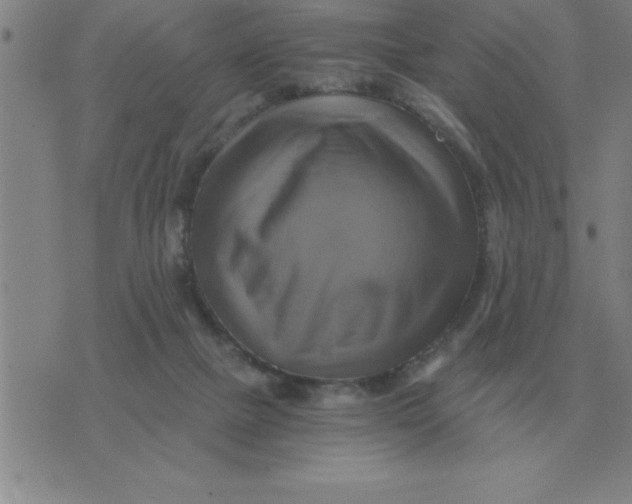 X0000075860073200610061947