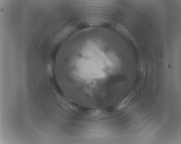 X0000075860074200610061947