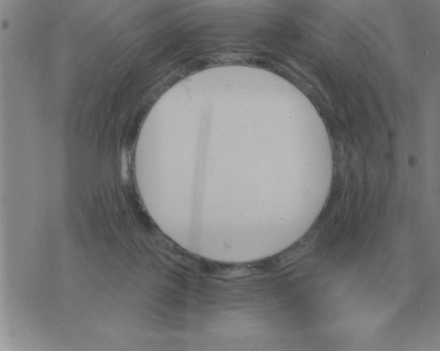 X0000075860075200610061947