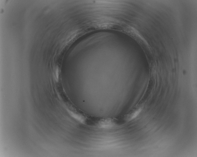 X0000075860076200610061948