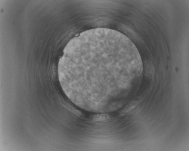 X0000075860077200610061948