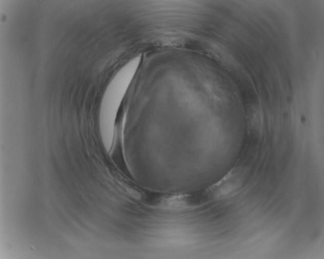 X0000075860078200610061948