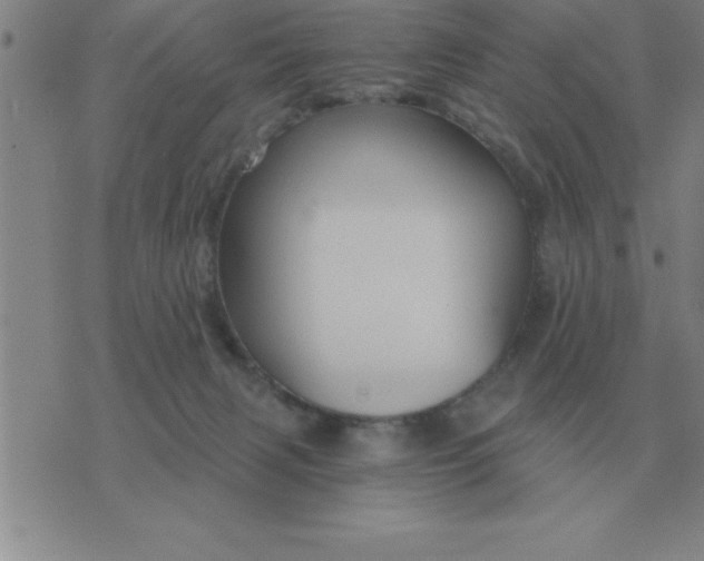 X0000075860079200610061948