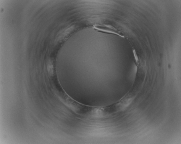 X0000075860080200610061948