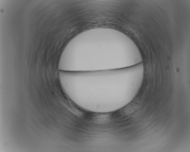 X0000075860081200610061948