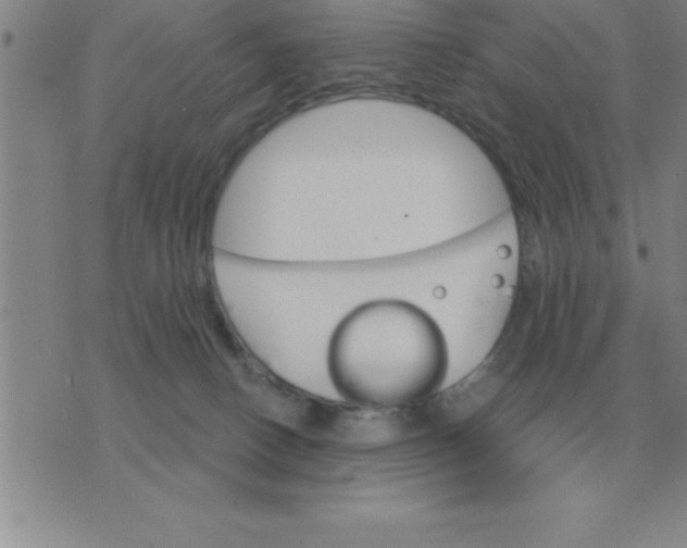 X0000075860082200610061948