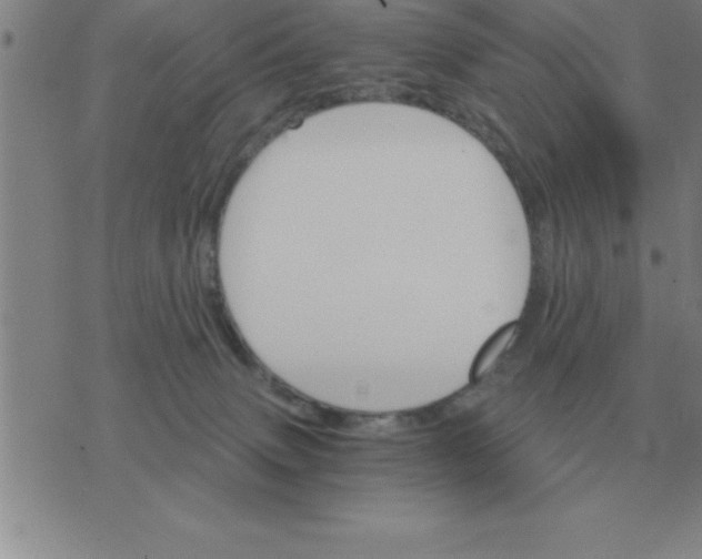 X0000075860083200610061948