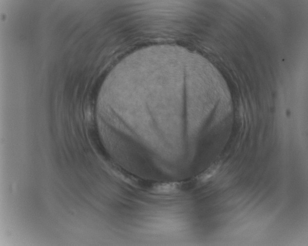 X0000075860084200610061948