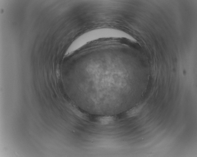 X0000075860085200610061948