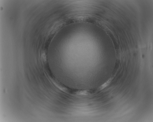 X0000075860086200610061948