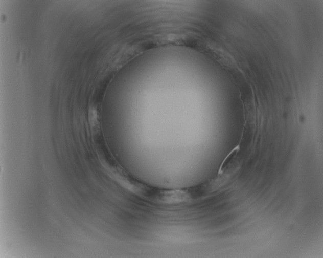 X0000075860087200610061948