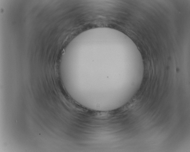 X0000075860088200610061948