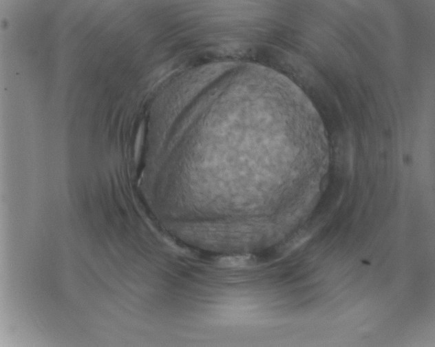 X0000075860089200610061948