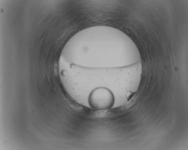 X0000075860090200610061948