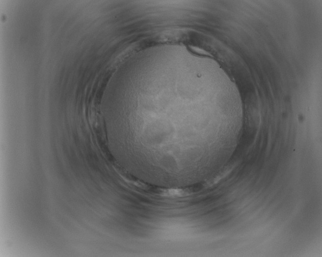 X0000075860091200610061948