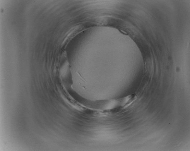 X0000075860092200610061948