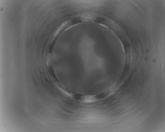 X0000075860093200610061948